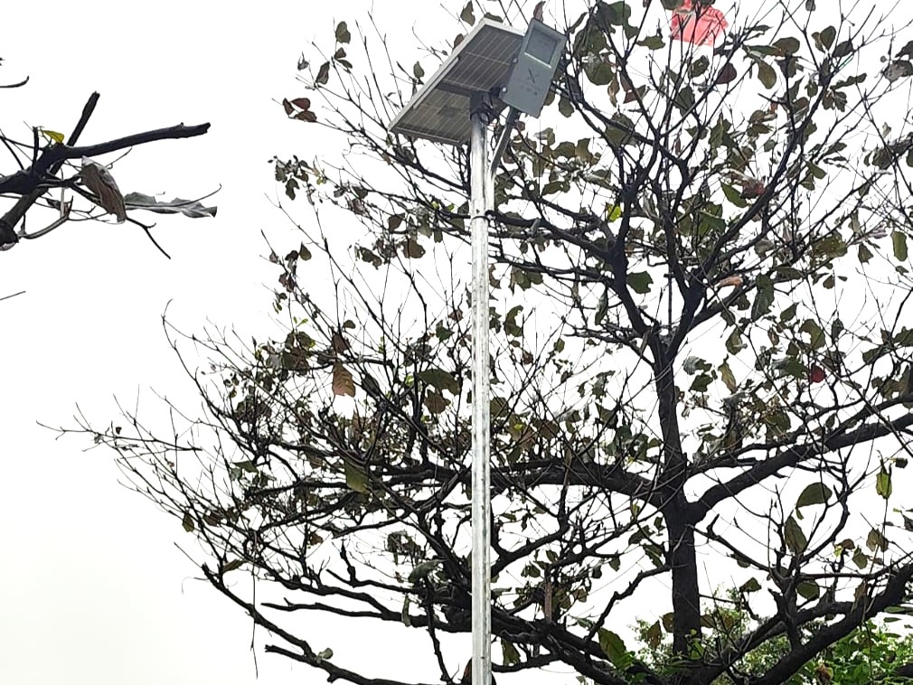 Solar Street Light Installation At Nashik - Gallery Image 5